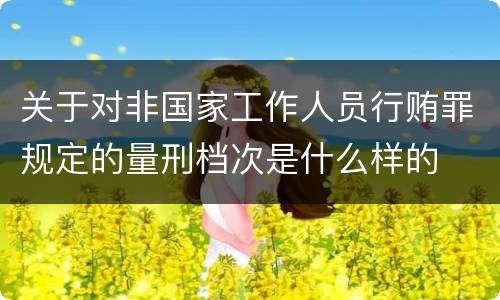 关于对非国家工作人员行贿罪规定的量刑档次是什么样的