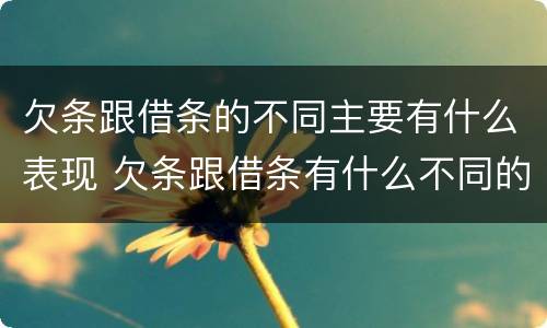 欠条跟借条的不同主要有什么表现 欠条跟借条有什么不同的区别