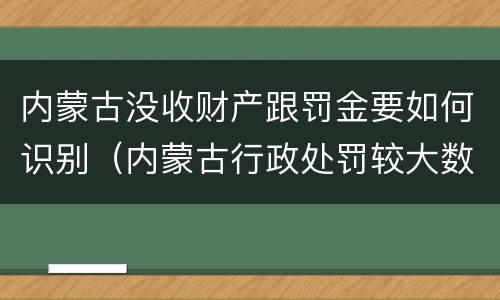 内蒙古没收财产跟罚金要如何识别（内蒙古行政处罚较大数额罚款标准）