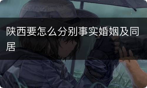 陕西要怎么分别事实婚姻及同居