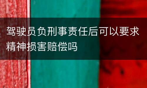 驾驶员负刑事责任后可以要求精神损害赔偿吗