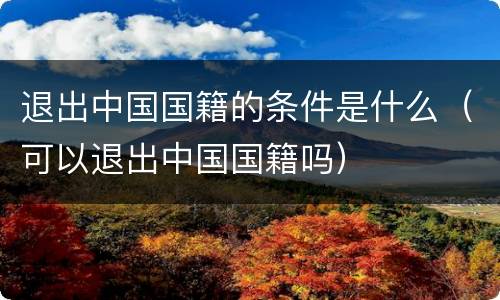 退出中国国籍的条件是什么（可以退出中国国籍吗）