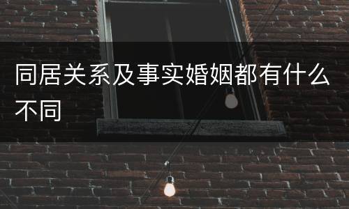 同居关系及事实婚姻都有什么不同