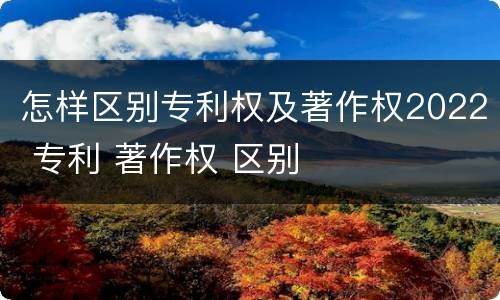 怎样区别专利权及著作权2022 专利 著作权 区别