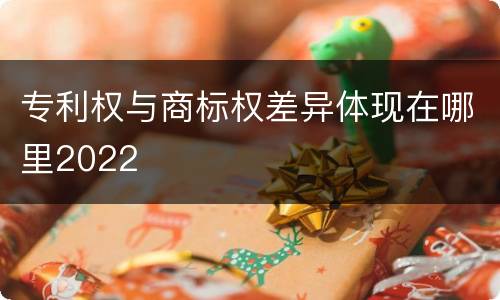 专利权与商标权差异体现在哪里2022