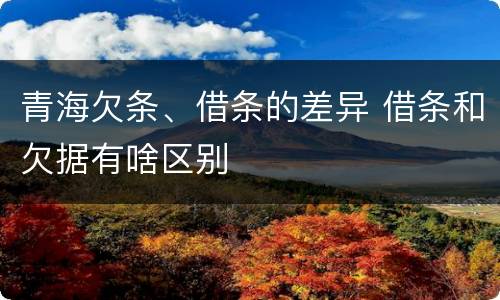 青海欠条、借条的差异 借条和欠据有啥区别