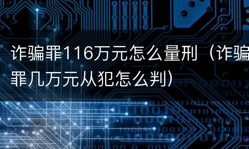 诈骗罪116万元怎么量刑（诈骗罪几万元从犯怎么判）
