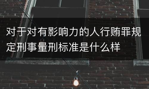 对于对有影响力的人行贿罪规定刑事量刑标准是什么样