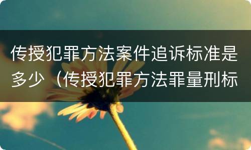 传授犯罪方法案件追诉标准是多少（传授犯罪方法罪量刑标准）