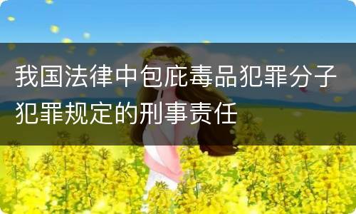 我国法律中包庇毒品犯罪分子犯罪规定的刑事责任