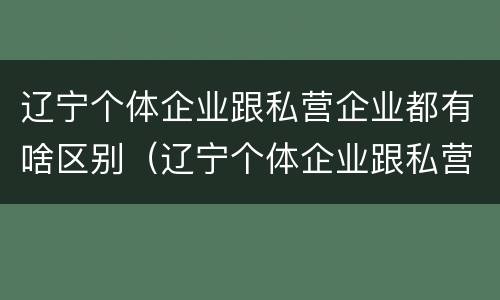 辽宁个体企业跟私营企业都有啥区别（辽宁个体企业跟私营企业都有啥区别呢）