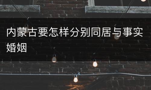 内蒙古要怎样分别同居与事实婚姻