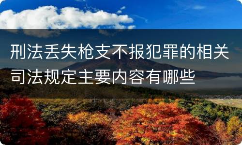 刑法丢失枪支不报犯罪的相关司法规定主要内容有哪些