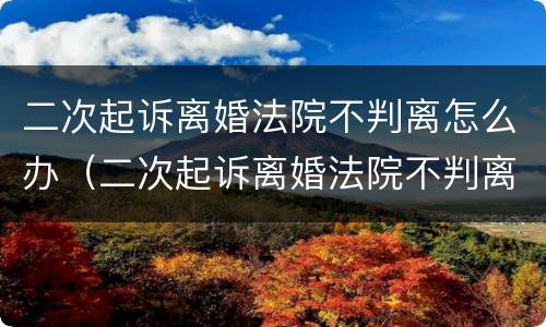 二次起诉离婚法院不判离怎么办（二次起诉离婚法院不判离怎么办理）
