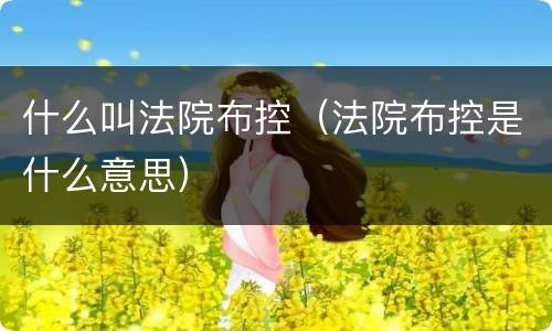 什么叫法院布控（法院布控是什么意思）