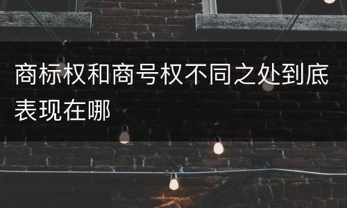 商标权和商号权不同之处到底表现在哪