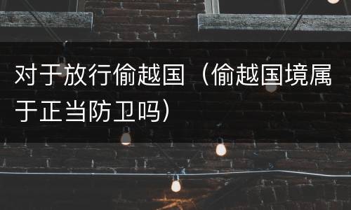 对于放行偷越国（偷越国境属于正当防卫吗）