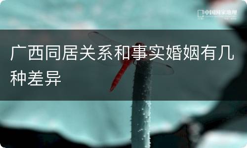广西同居关系和事实婚姻有几种差异