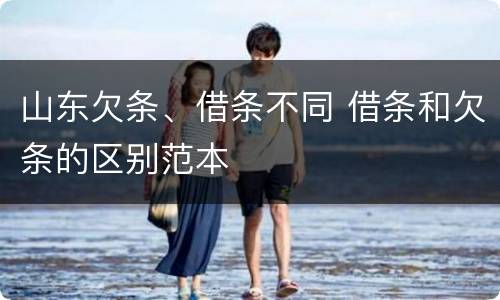 山东欠条、借条不同 借条和欠条的区别范本