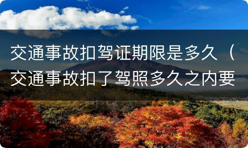 交通事故扣驾证期限是多久（交通事故扣了驾照多久之内要解决）