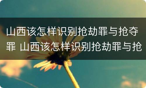 山西该怎样识别抢劫罪与抢夺罪 山西该怎样识别抢劫罪与抢夺罪的案件