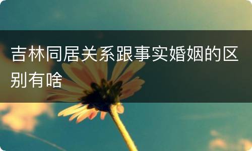 吉林同居关系跟事实婚姻的区别有啥