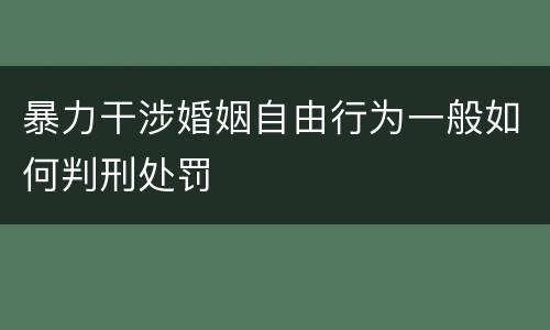 暴力干涉婚姻自由行为一般如何判刑处罚