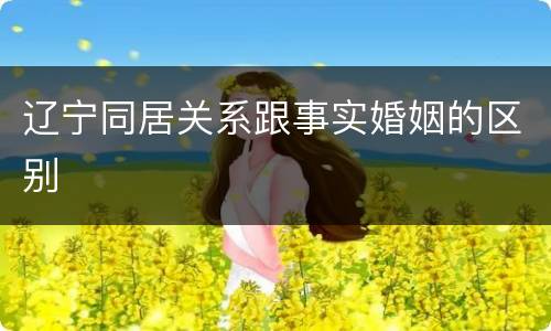 辽宁同居关系跟事实婚姻的区别
