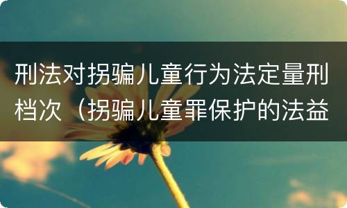 刑法对拐骗儿童行为法定量刑档次（拐骗儿童罪保护的法益）