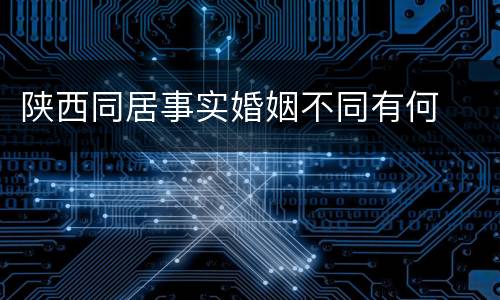 陕西同居事实婚姻不同有何