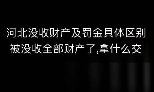 河北没收财产及罚金具体区别 被没收全部财产了,拿什么交罚金