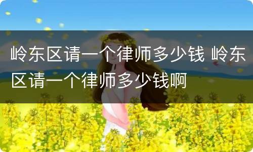 岭东区请一个律师多少钱 岭东区请一个律师多少钱啊