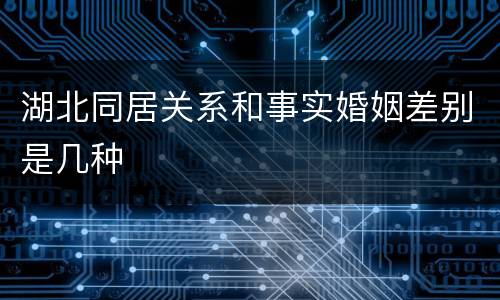 湖北同居关系和事实婚姻差别是几种