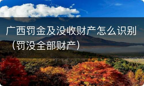 广西罚金及没收财产怎么识别（罚没全部财产）