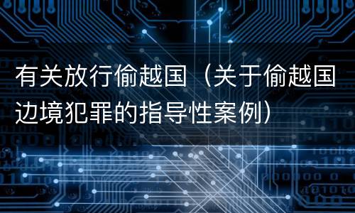 有关放行偷越国（关于偷越国边境犯罪的指导性案例）