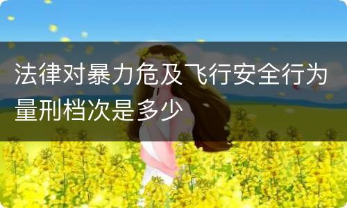 法律对暴力危及飞行安全行为量刑档次是多少