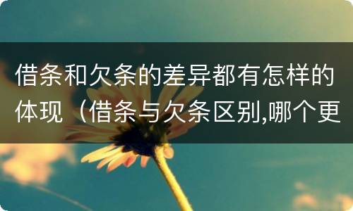 借条和欠条的差异都有怎样的体现（借条与欠条区别,哪个更具法律）