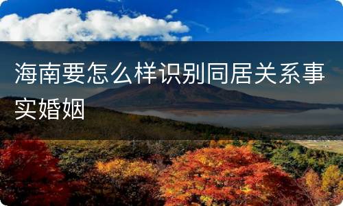 海南要怎么样识别同居关系事实婚姻