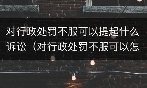 对行政处罚不服可以提起什么诉讼（对行政处罚不服可以怎么办）