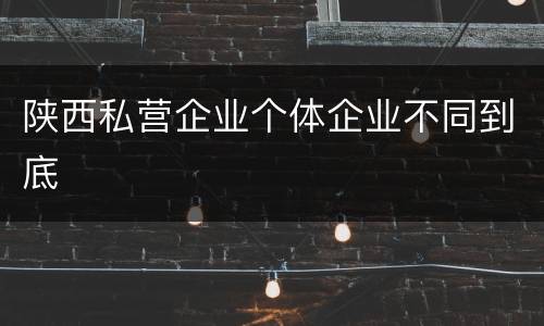 陕西私营企业个体企业不同到底