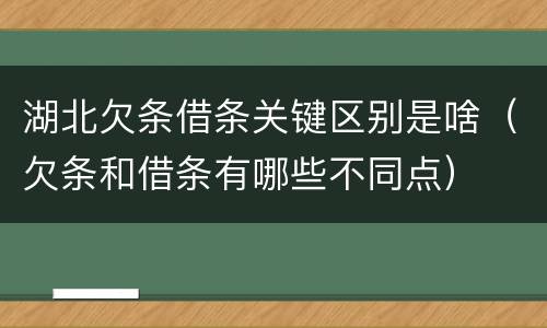湖北欠条借条关键区别是啥（欠条和借条有哪些不同点）