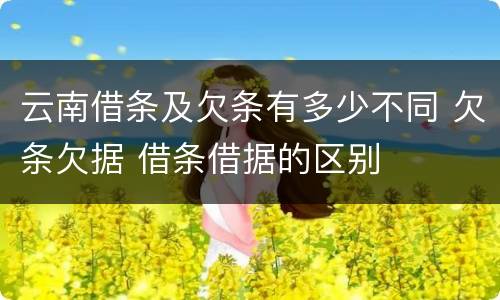 云南借条及欠条有多少不同 欠条欠据 借条借据的区别