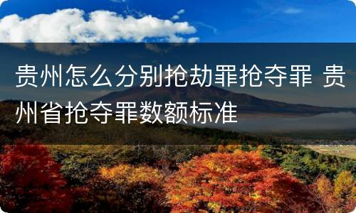 贵州怎么分别抢劫罪抢夺罪 贵州省抢夺罪数额标准