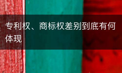 专利权、商标权差别到底有何体现