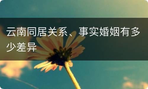 云南同居关系、事实婚姻有多少差异