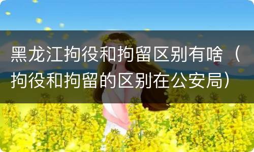 黑龙江拘役和拘留区别有啥（拘役和拘留的区别在公安局）