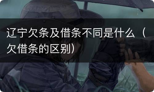 辽宁欠条及借条不同是什么（欠借条的区别）