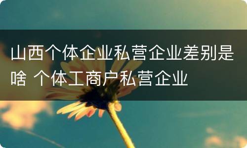 山西个体企业私营企业差别是啥 个体工商户私营企业