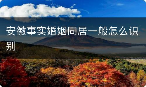 安徽事实婚姻同居一般怎么识别