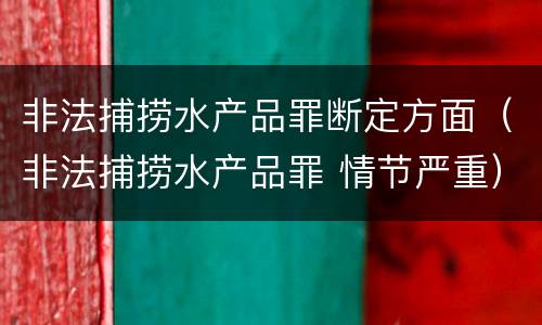 非法捕捞水产品罪断定方面（非法捕捞水产品罪 情节严重）